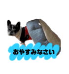 ベアル（個別スタンプ：4）