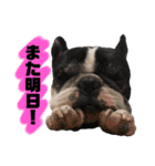 ベアル（個別スタンプ：9）