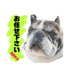 ベアル（個別スタンプ：10）