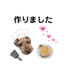 ウェルシュテリア♡ジェリーさんの1日(22)（個別スタンプ：2）