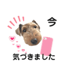 ウェルシュテリア♡ジェリーさんの1日(22)（個別スタンプ：10）