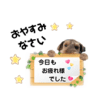 ウェルシュテリア♡ジェリーさんの1日(22)（個別スタンプ：15）