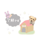 チワプーみるくの親バカスタンプ☺︎❤︎Ⅱ（個別スタンプ：3）