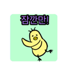 병아리 various chicks KOREAN ひよこたち（個別スタンプ：9）