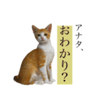 ウミコム日記スタンプ①（個別スタンプ：10）