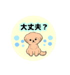 よっちゅんのイラストスタンプ（個別スタンプ：23）