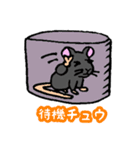 実験ねずみB6くん その2（個別スタンプ：5）