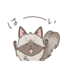 ラグな日々（個別スタンプ：19）