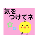 でか文字スタンプ（ぴーちゃん）（個別スタンプ：13）