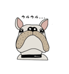 フレンチブルドッグBULLくんのスタンプ（個別スタンプ：1）
