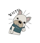 フレンチブルドッグBULLくんのスタンプ（個別スタンプ：4）