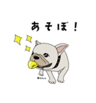 フレンチブルドッグBULLくんのスタンプ（個別スタンプ：5）