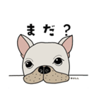 フレンチブルドッグBULLくんのスタンプ（個別スタンプ：8）