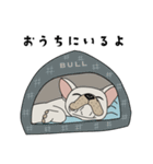 フレンチブルドッグBULLくんのスタンプ（個別スタンプ：13）