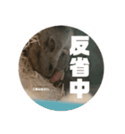 うにすた-日常編5-（個別スタンプ：1）