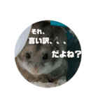 うにすた-日常編5-（個別スタンプ：3）