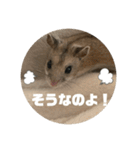 うにすた-日常編5-（個別スタンプ：4）