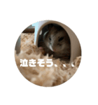 うにすた-日常編5-（個別スタンプ：5）