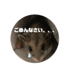 うにすた-日常編5-（個別スタンプ：7）