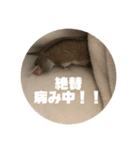 うにすた-日常編5-（個別スタンプ：8）