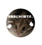 うにすた-日常編5-（個別スタンプ：13）