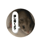 うにすた-日常編5-（個別スタンプ：14）