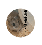 うにすた-日常編5-（個別スタンプ：17）