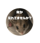 うにすた-日常編5-（個別スタンプ：19）