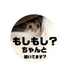 うにすた-日常編5-（個別スタンプ：20）