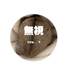 うにすた-日常編5-（個別スタンプ：21）
