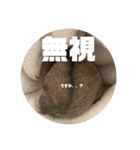 うにすた-日常編5-（個別スタンプ：22）