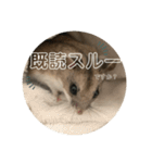 うにすた-日常編5-（個別スタンプ：23）