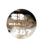 うにすた-日常編5-（個別スタンプ：24）