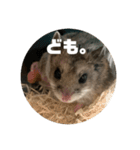 うにすた-日常編5-（個別スタンプ：30）