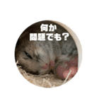うにすた-日常編5-（個別スタンプ：32）