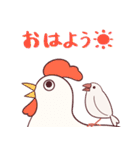 えびしっぽ文鳥（個別スタンプ：1）