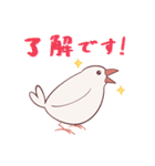 えびしっぽ文鳥（個別スタンプ：3）