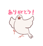 えびしっぽ文鳥（個別スタンプ：5）