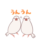 えびしっぽ文鳥（個別スタンプ：8）