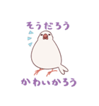 えびしっぽ文鳥（個別スタンプ：16）