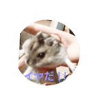I Loveハムスター2（個別スタンプ：2）