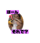 華ちゃん秋（個別スタンプ：36）