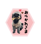 いとうチャニくん（個別スタンプ：5）