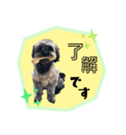 いとうチャニくん（個別スタンプ：8）