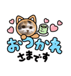 はぴちゃんの日常会話 No.4（個別スタンプ：1）