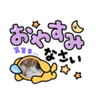 はぴちゃんの日常会話 No.4（個別スタンプ：3）