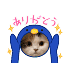 はぴちゃんの日常会話 No.4（個別スタンプ：6）