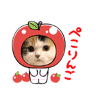 はぴちゃんの日常会話 No.4（個別スタンプ：7）