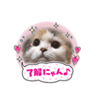 はぴちゃんの日常会話 No.4（個別スタンプ：8）