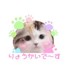 はぴちゃんの日常会話 No.4（個別スタンプ：9）